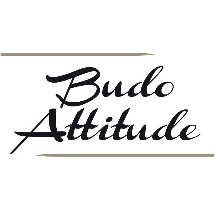 budo attitude